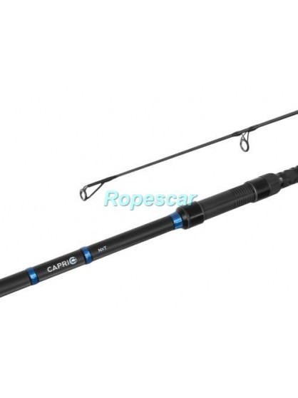 Set x 4 lansete Delphin Capri NXT 3,60 M/3,5 LBS./2 Segmente